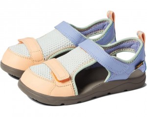 Multicolor Teva Hurricane Seekado Kids' Sandals | 23954-ZWEC