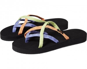 Multicolor Teva Olowahu Women's Flip Flops | 13605-DQEN