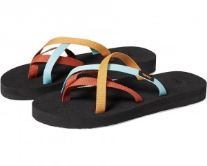 Multicolor Teva Olowahu Women's Flip Flops | 64238-CLEK