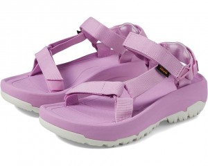 Purple Teva Hurricane Xlt2 Ampsole Women's Sandals | 13625-KQRT