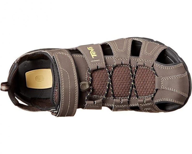 Brown Teva Forebay Men's Sandals | 64325-ONQP