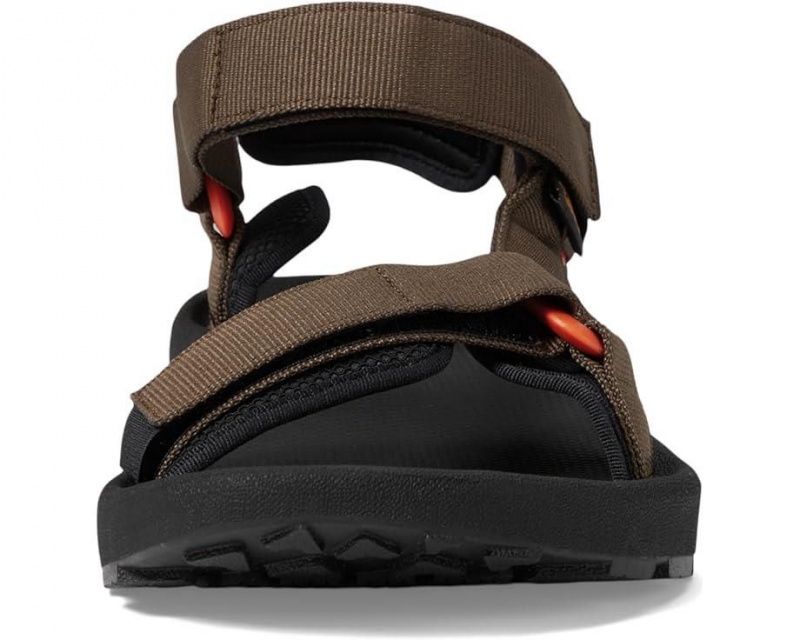 Brown Teva Hydratrek Men's Sandals | 27841-PKGZ