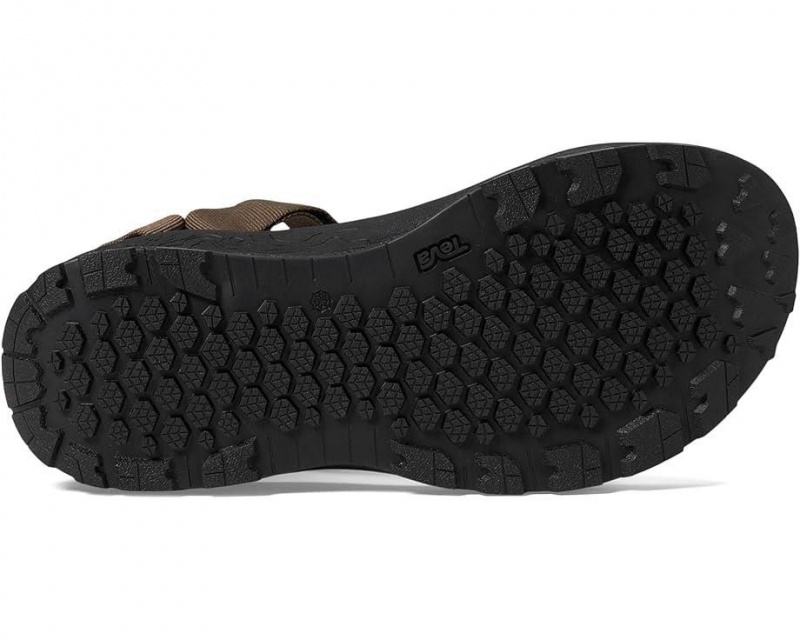 Brown Teva Hydratrek Men's Sandals | 27841-PKGZ