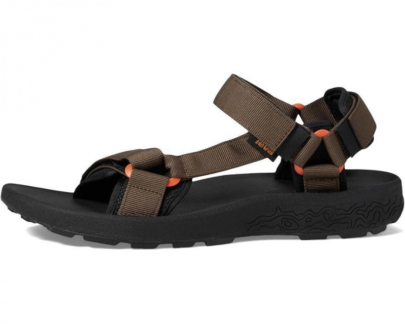 Brown Teva Hydratrek Men's Sandals | 27841-PKGZ