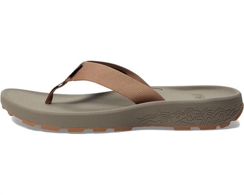 Brown Teva Hydratrek Women's Sandals | 09415-GOAJ