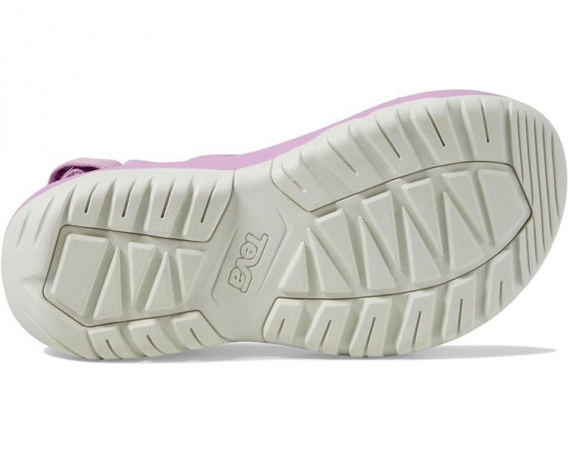 Purple Teva Hurricane Xlt2 Ampsole Women's Sandals | 13625-KQRT