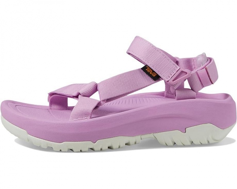 Purple Teva Hurricane Xlt2 Ampsole Women's Sandals | 13625-KQRT