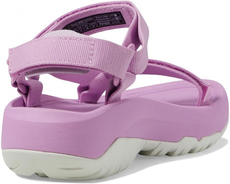 Purple Teva Hurricane Xlt2 Ampsole Women's Sandals | 13625-KQRT