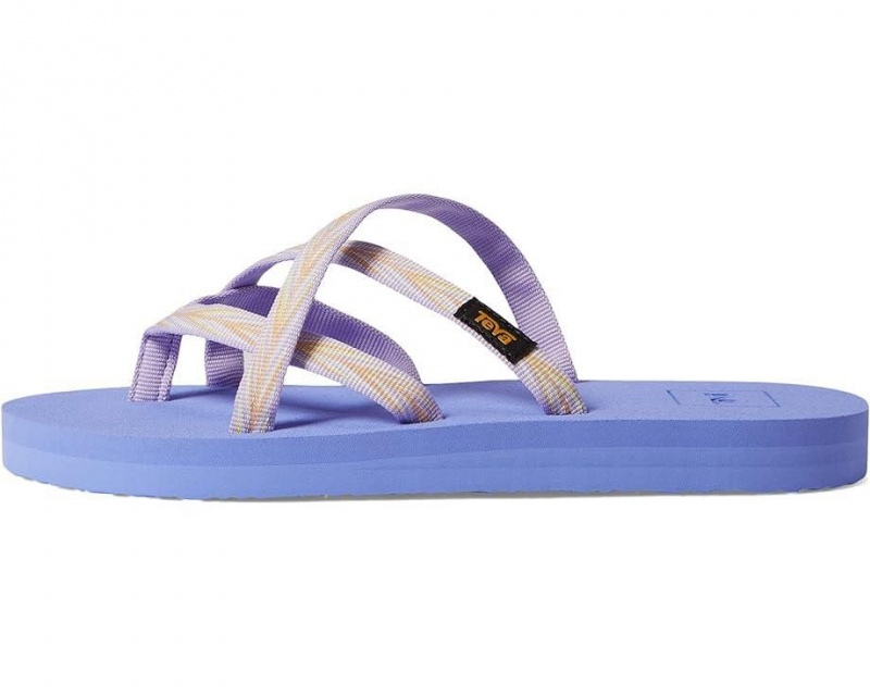 Purple Teva Olowahu Kids' Sandals | 98254-RPEN