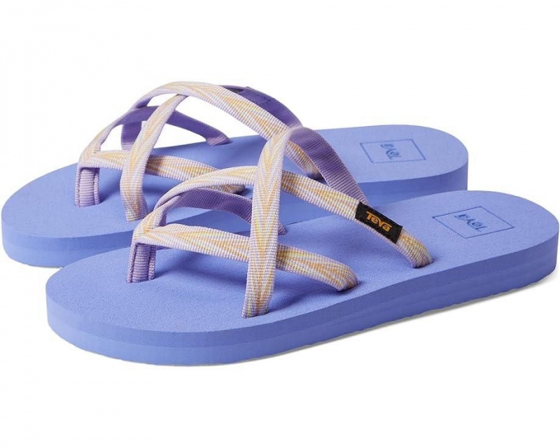 Purple Teva Olowahu Kids\' Sandals | 98254-RPEN