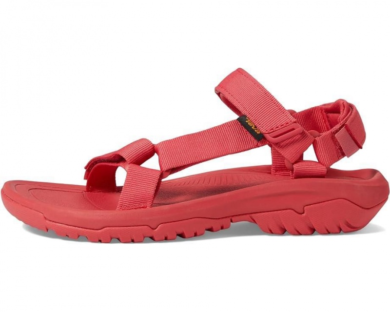 Red Teva Hurricane Xlt2 Women's Sandals | 17406-BLZU